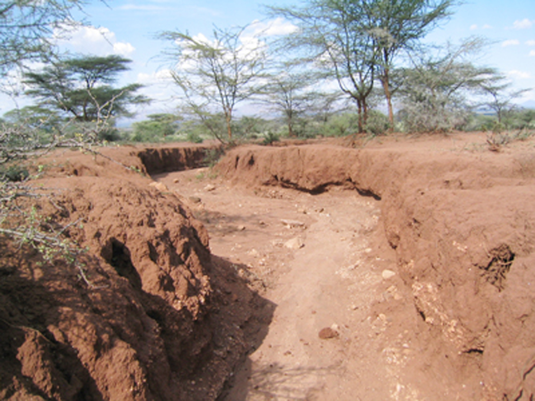 Food Security and Decentralisation in a Changing Climate-an African Case Study